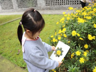 寻找春天的颜色——远恒佳菩提印象幼儿园小班段社会实践活动